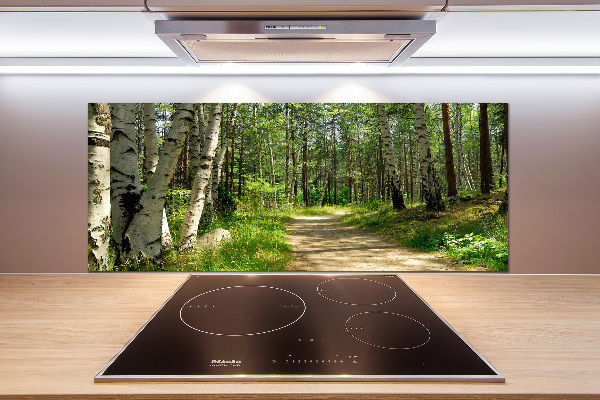 Spatscherm keuken Pad in het bos