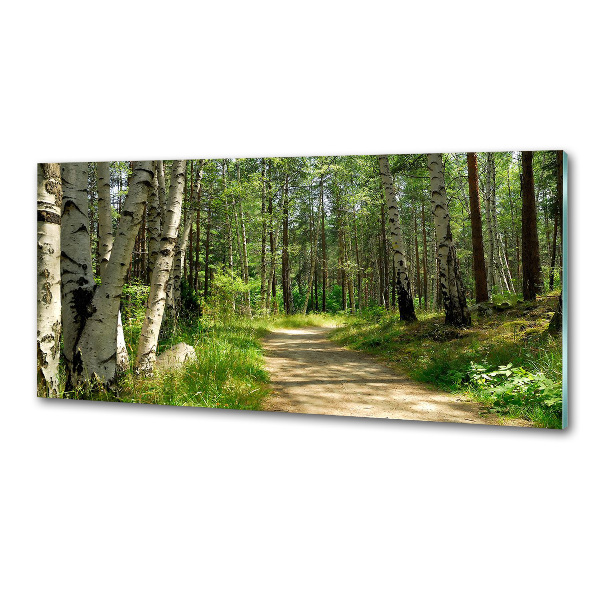 Panel do kuchni Ścieżka w lesie