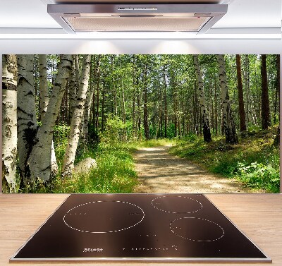 Spatscherm keuken Pad in het bos