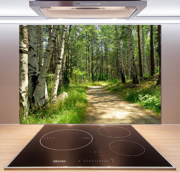 Spatscherm keuken Pad in het bos