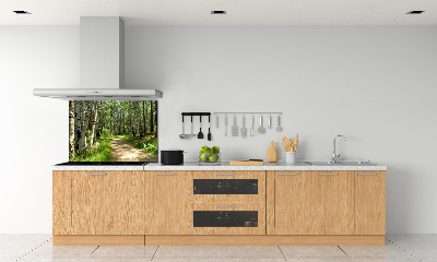 Spatscherm keuken Pad in het bos