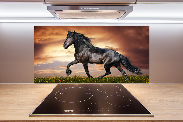 Spatplaat keuken Dravend paard