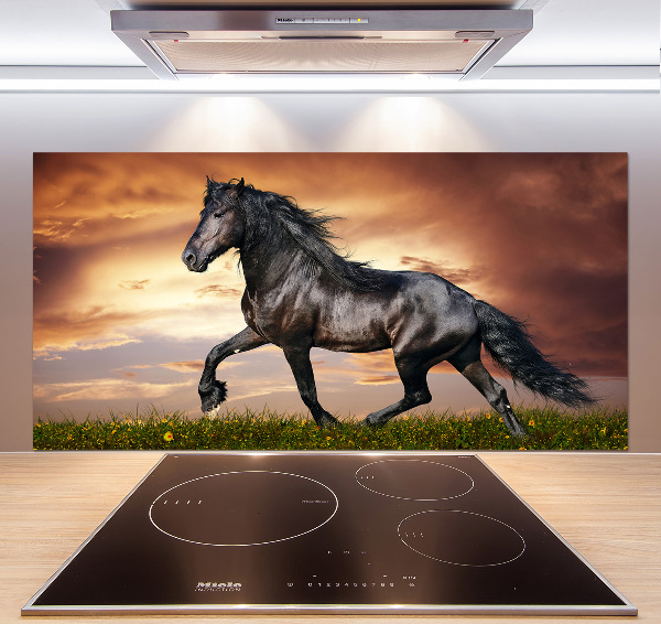 Spatplaat keuken Dravend paard