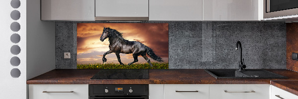 Spatplaat keuken Dravend paard