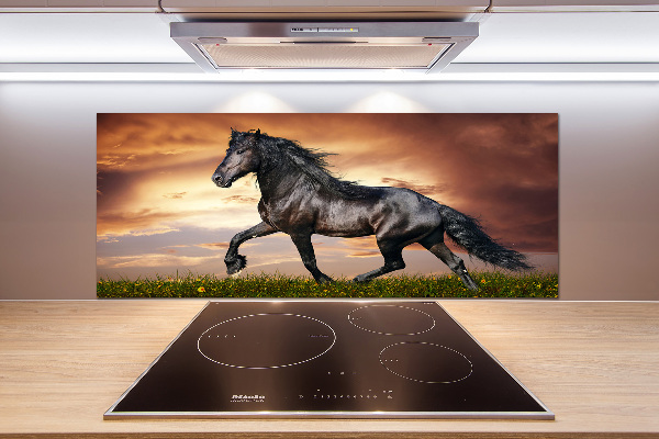 Spatplaat keuken Dravend paard