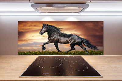 Spatplaat keuken Dravend paard