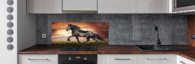 Spatplaat keuken Dravend paard