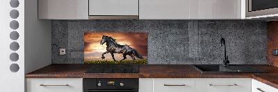 Spatplaat keuken Dravend paard