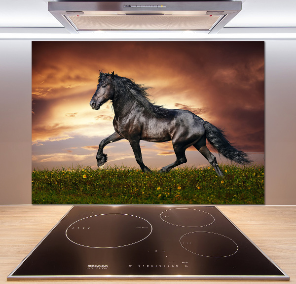 Spatplaat keuken Dravend paard