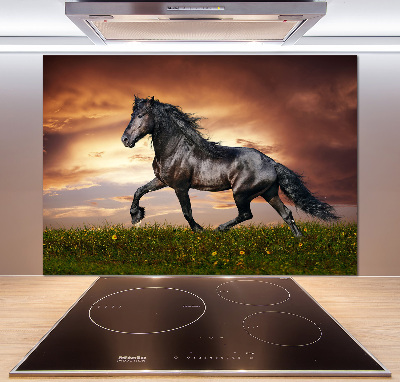 Spatplaat keuken Dravend paard