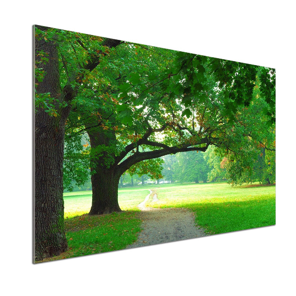 Achterwand keuken Park in de herfst
