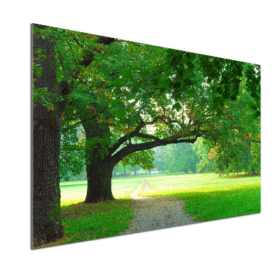 Achterwand keuken Park in de herfst
