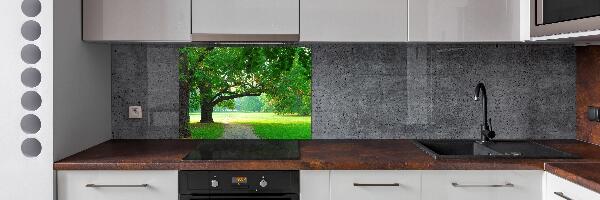 Achterwand keuken Park in de herfst
