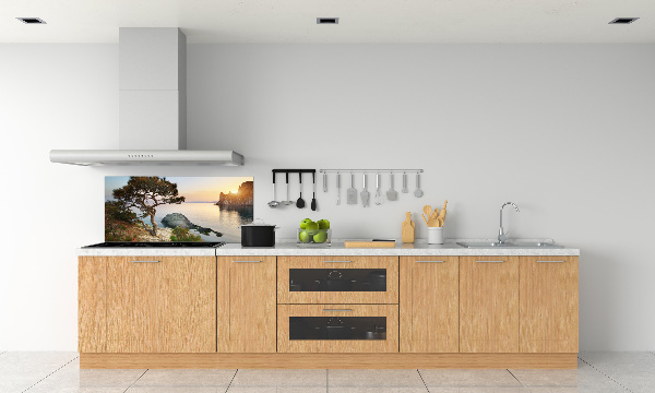 Spatplaat keuken Een boom aan zee