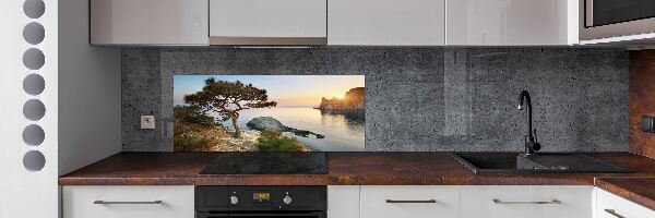 Spatplaat keuken Een boom aan zee