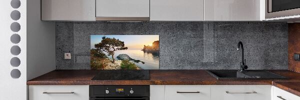 Spatplaat keuken Een boom aan zee