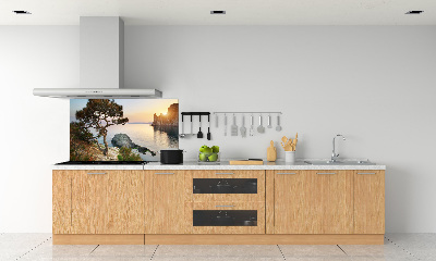 Spatplaat keuken Een boom aan zee