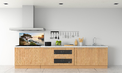 Spatplaat keuken Een boom aan zee