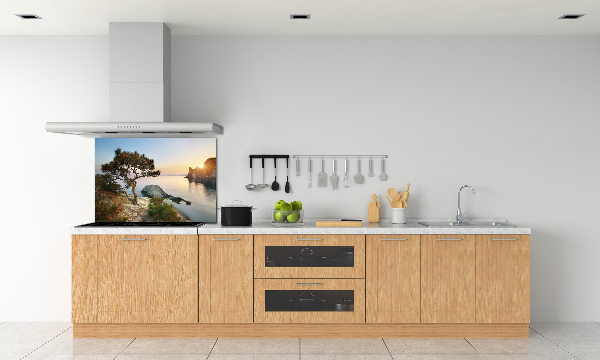 Spatplaat keuken Een boom aan zee