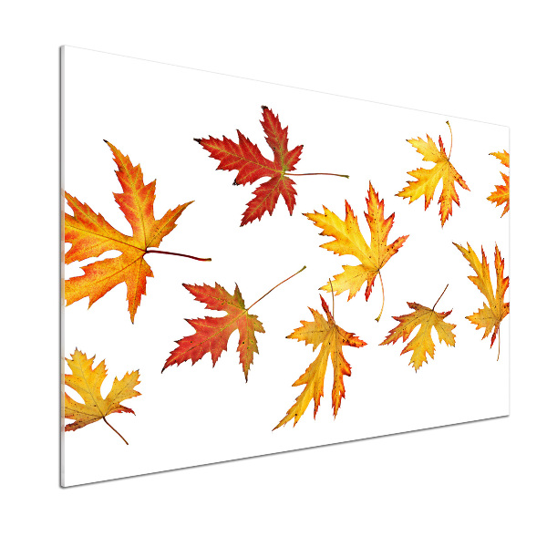 Spatscherm keuken Herfstbladeren