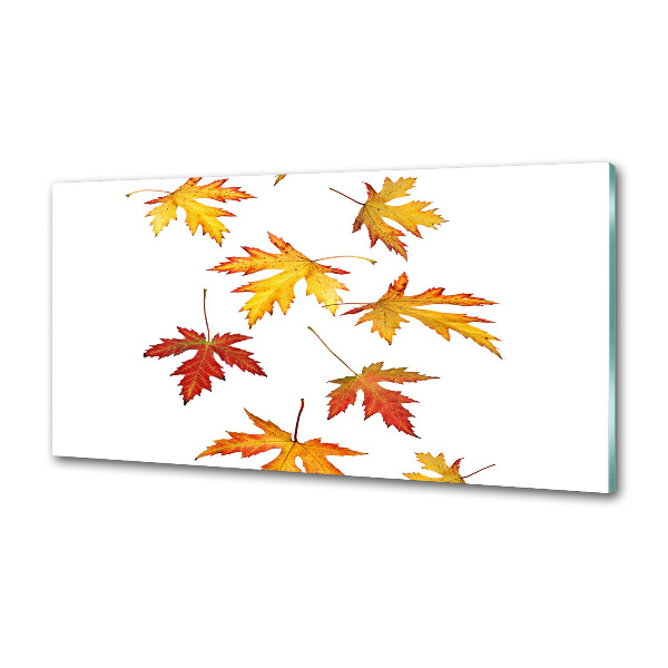 Spatscherm keuken Herfstbladeren