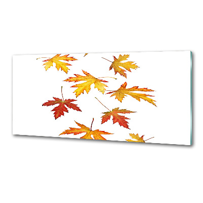 Spatscherm keuken Herfstbladeren