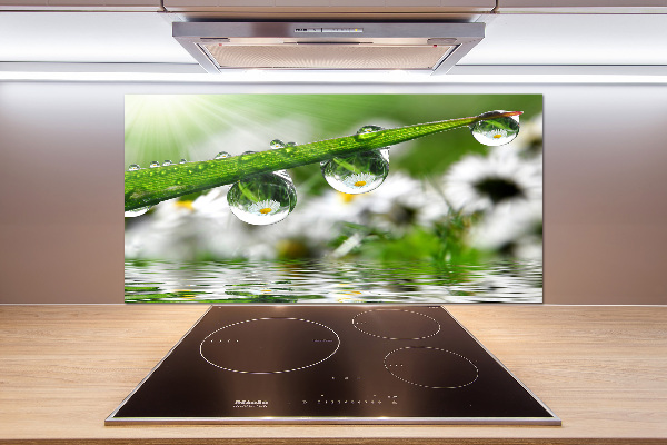 Panel do kuchni Krople na trawie