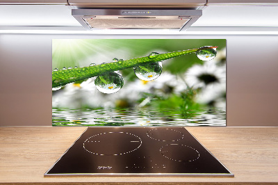 Panel do kuchni Krople na trawie