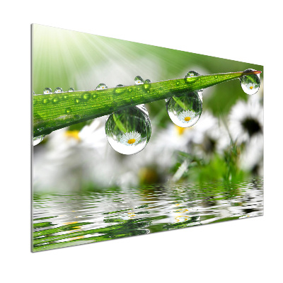 Panel do kuchni Krople na trawie