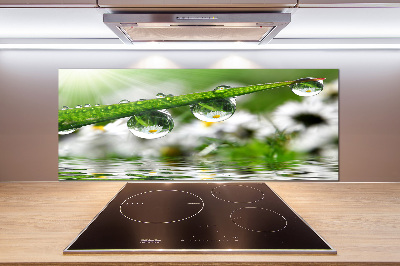 Panel do kuchni Krople na trawie