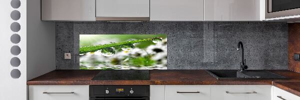 Keuken achterwand Druppels op het gras