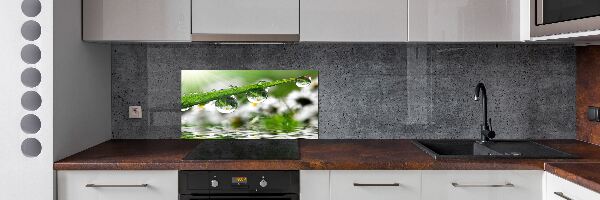 Keuken achterwand Druppels op het gras