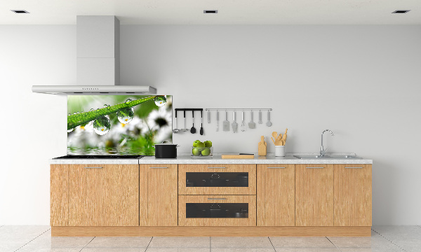 Keuken achterwand Druppels op het gras