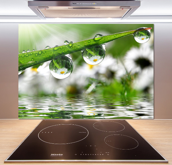 Panel do kuchni Krople na trawie