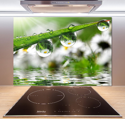 Panel do kuchni Krople na trawie