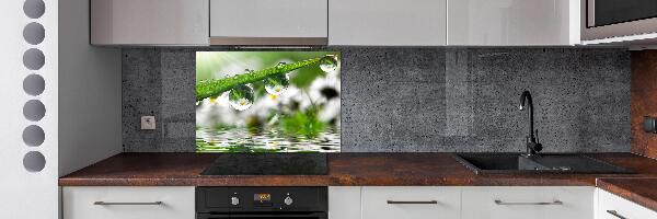 Keuken achterwand Druppels op het gras