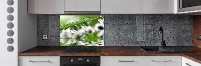 Keuken achterwand Druppels op het gras