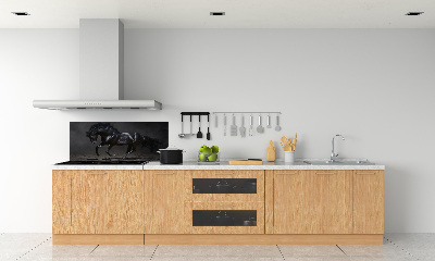 Glazen achterwand keuken Outsider