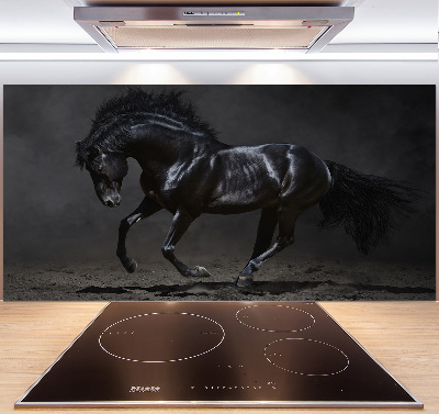 Glazen achterwand keuken Outsider