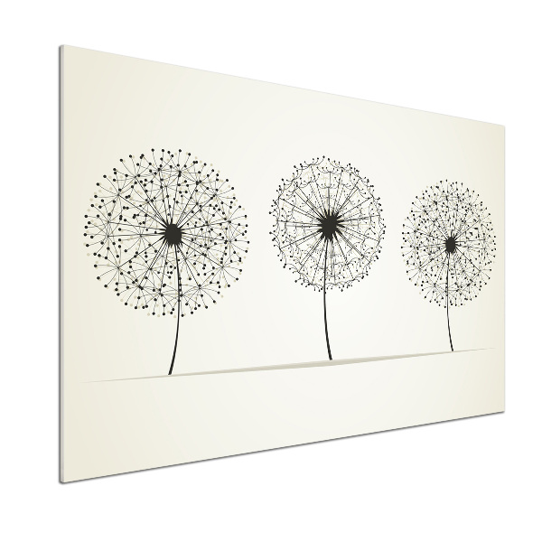 Glazen achterwand keuken Paardenbloemen