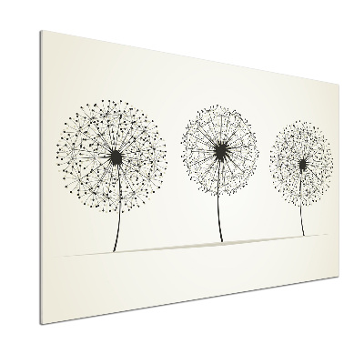 Glazen achterwand keuken Paardenbloemen