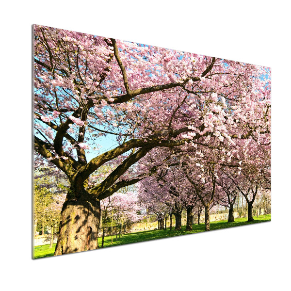 Achterwand keuken Kersenbomen