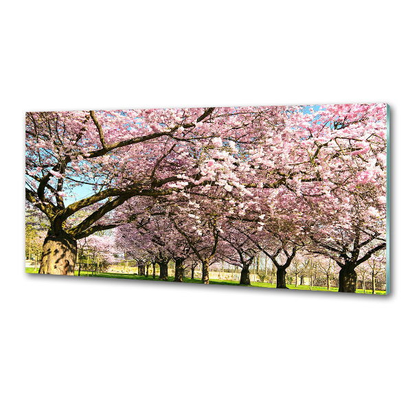 Achterwand keuken Kersenbomen