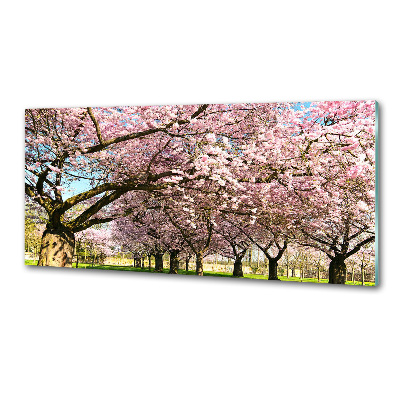Achterwand keuken Kersenbomen