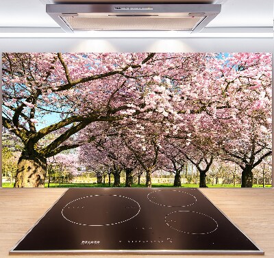 Achterwand keuken Kersenbomen