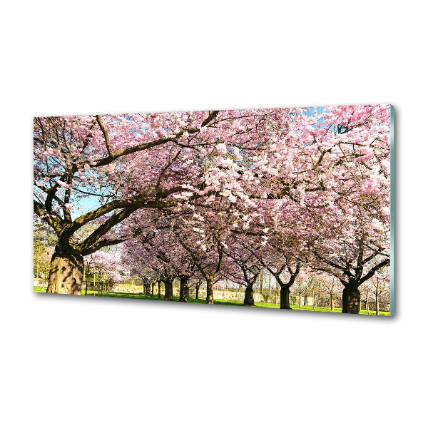 Achterwand keuken Kersenbomen