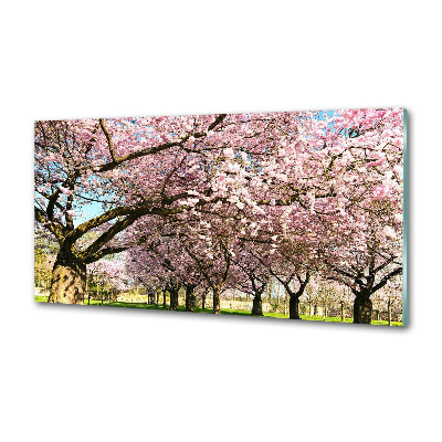 Achterwand keuken Kersenbomen