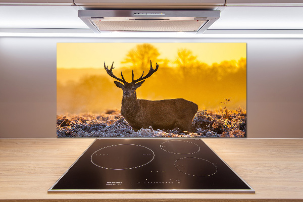 Spatscherm keuken Herten zonsopgang