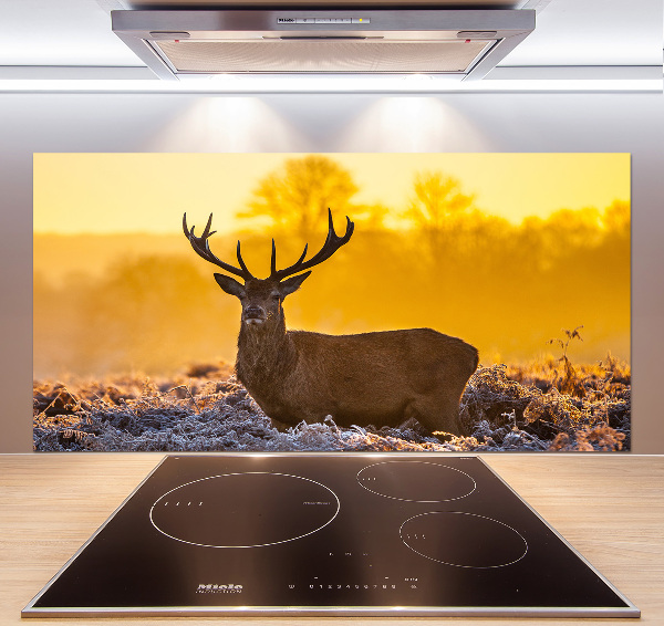 Spatscherm keuken Herten zonsopgang