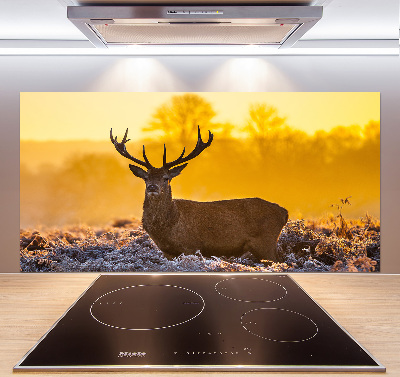 Spatscherm keuken Herten zonsopgang
